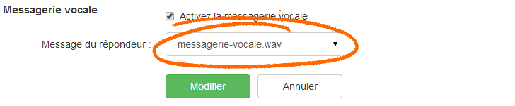 Call Tracking - Messagerie Vocale