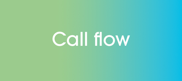 Définition Call flow
